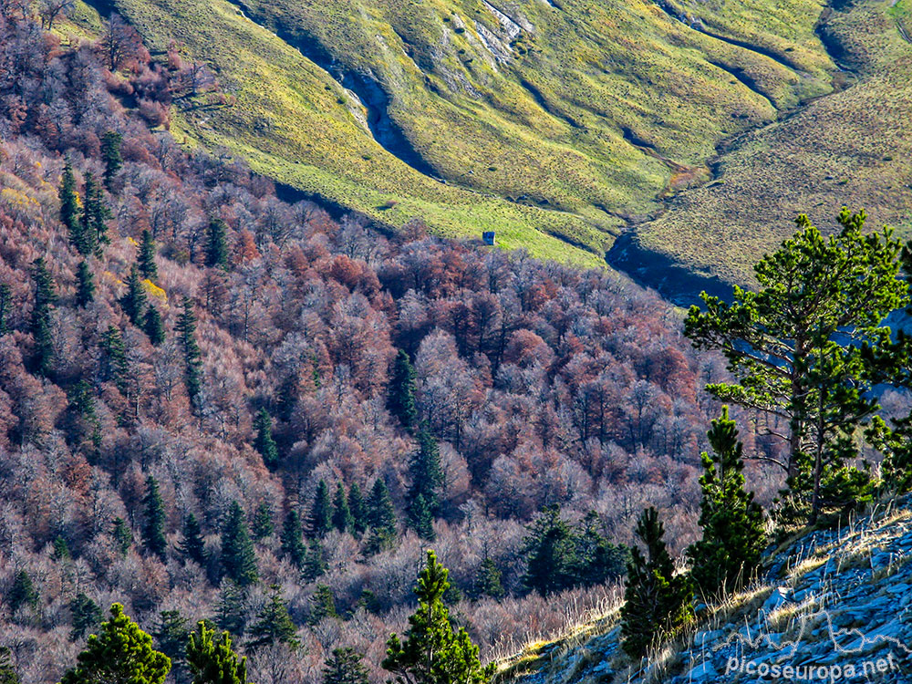 Txamantxoia, Parque Natural de los Valles Occidentales, Pirineos de Huesca, Aragón