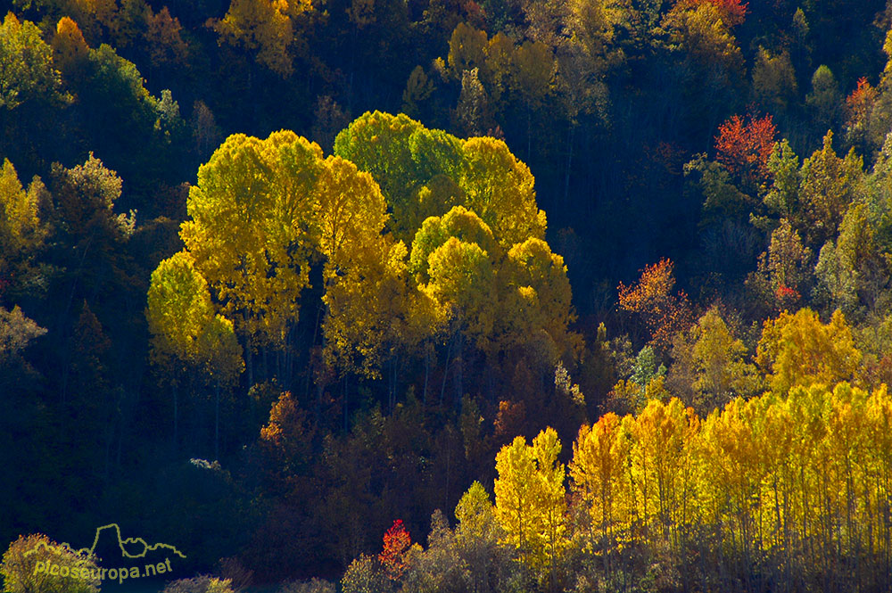 Otoño en el Valle de Benasque, Pirineos de Huesca