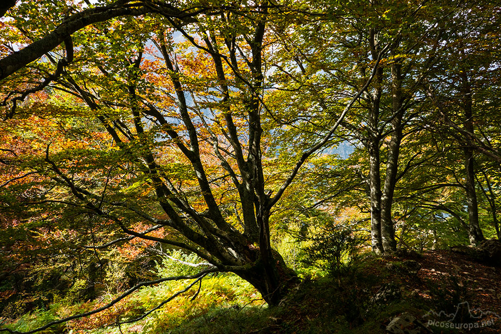 Foto: Chemin de la Mature, Pirineos, Francia