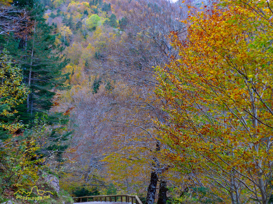 Valle de Hecho, Parque Natural de los Valles Occidentales, Pirineos de Huesca, Aragón