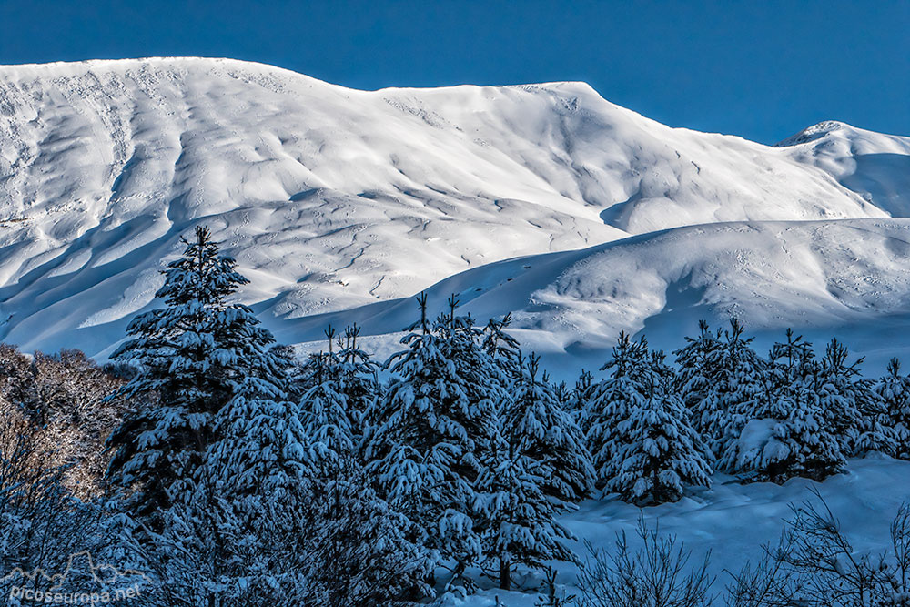 Desde el Refugio de Linza en invierno, Parque Natural de los Valles Occidentales, Pirineos de Huesca, Aragón, España.