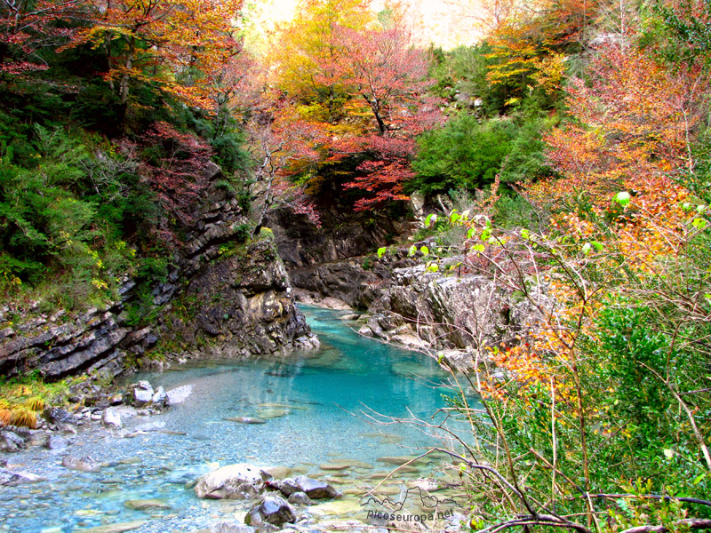 Video del otoño en el Cañon de Añisclo, Parque Nacional de Ordesa y Monte Perdido