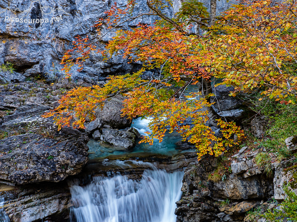 Río Bellos, Cañon de Añisclo, Parque Nacional de Ordesa y Monte Perdido