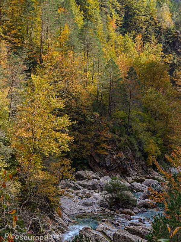 Foto: Río Bellos, Cañon de Añisclo, Pirineos de Huesca, Aragon, Parque Nacional de Ordesa y Monte Perdido