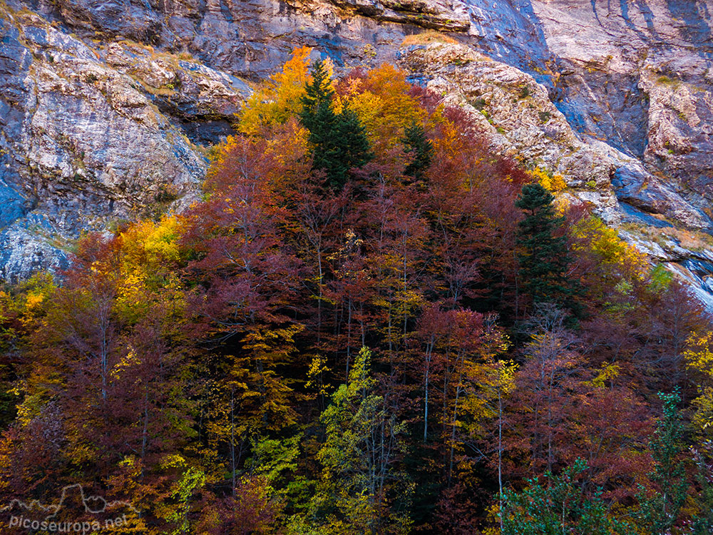 San Nicolas de Bujaruelo y el Valle del réo Ara, Ordesa, Pirineos de Huesca, Aragón.