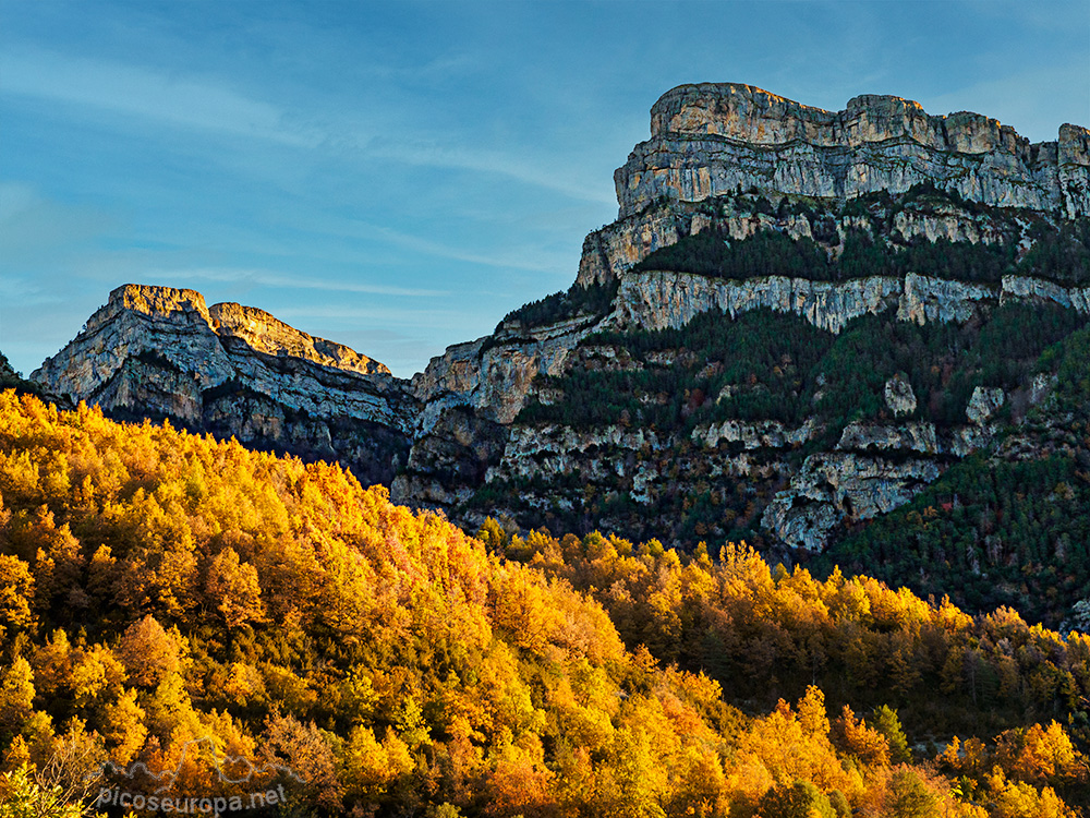 Foto: Bosque en otoño a los pies del Pico Sestrales en la entrada Sur del Cañon de Añisclo que es su acceso desde la carretera de Fanlo a Escalona, Pirineos de Huesca, Aragon, Parque Nacional de Ordesa y Monte Perdido