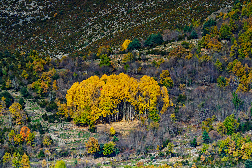 Foto: Mirador de Añisclo, Ordesa, Pirineos de Huesca, Aragón, España
