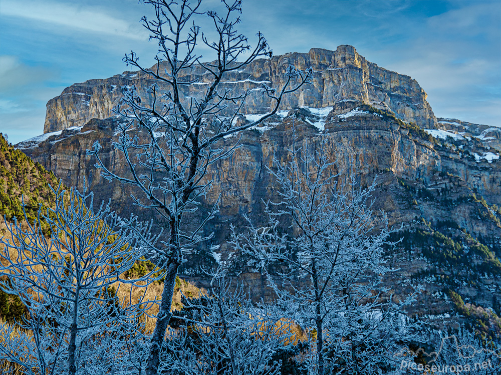 Foto: Pared de la Fraucata en invierno desde la Pradera de Ordesa, Pirineos de Huesca, Aragon, Parque Nacional de Ordesa y Monte Perdido