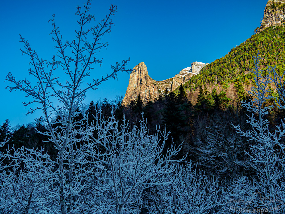 Foto: Tozal de Mallo en invierno desde la Pradera de Ordesa, Pirineos de Huesca, Aragon, Parque Nacional de Ordesa y Monte Perdido