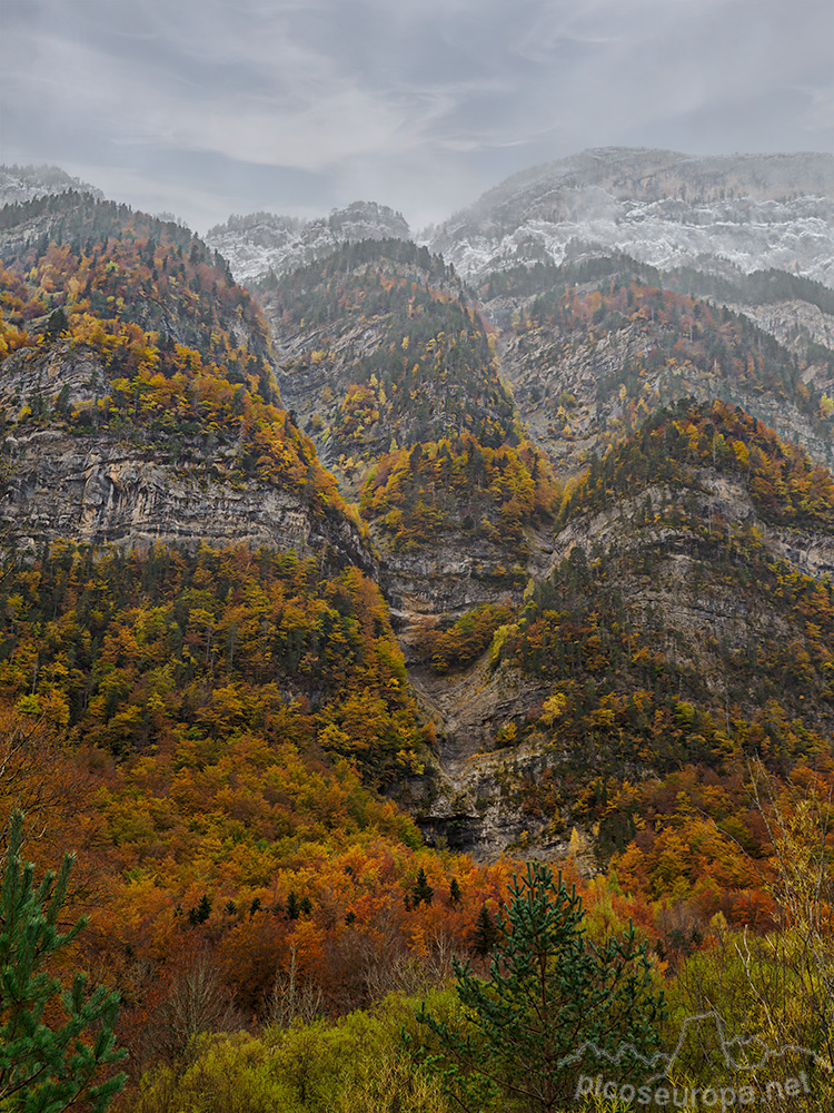 Foto: Otoño en la Pradera de Ordesa, Pirineos de Huesca, Aragon, Parque Nacional de Ordesa y Monte Perdido