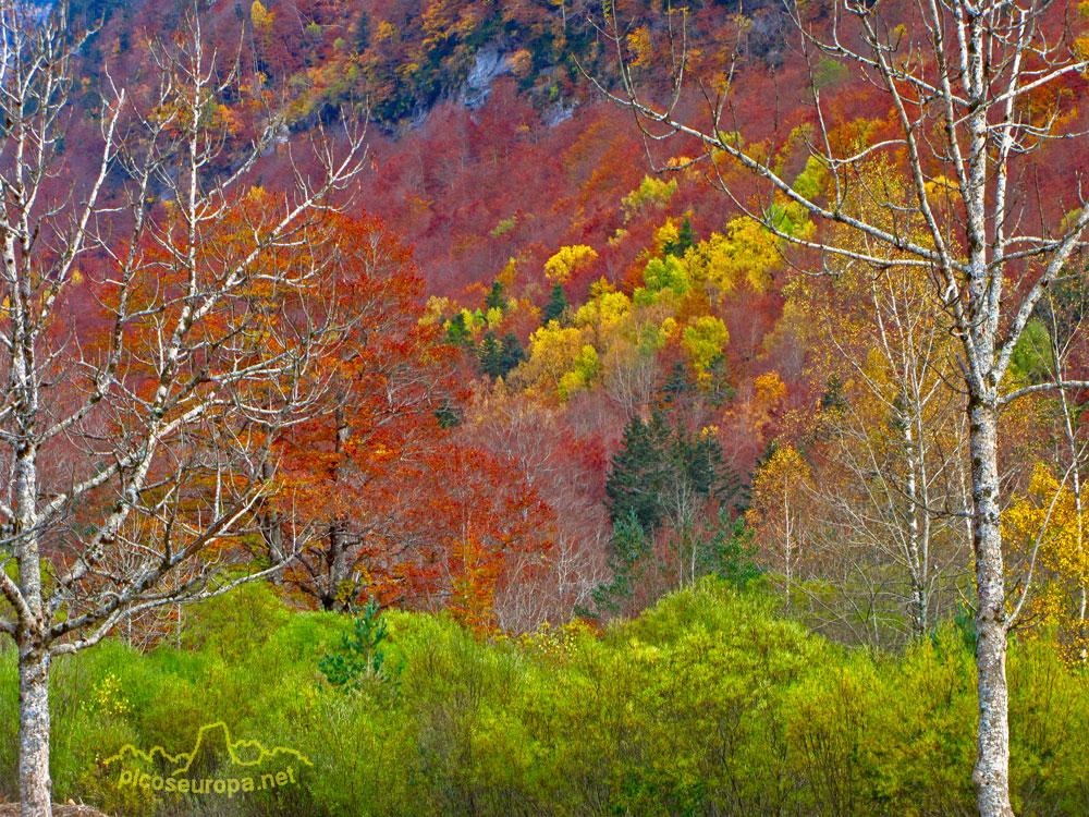 Foto: Otoño en el Valle de Ordesa, Pirineos de Huesca, Aragon