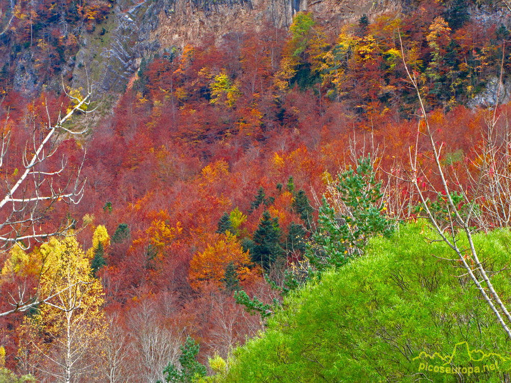 Foto: Otoño en la Pradera de Ordesa, Pirineos de Huesca, Aragon, Parque Nacional de Ordesa y Monte Perdido