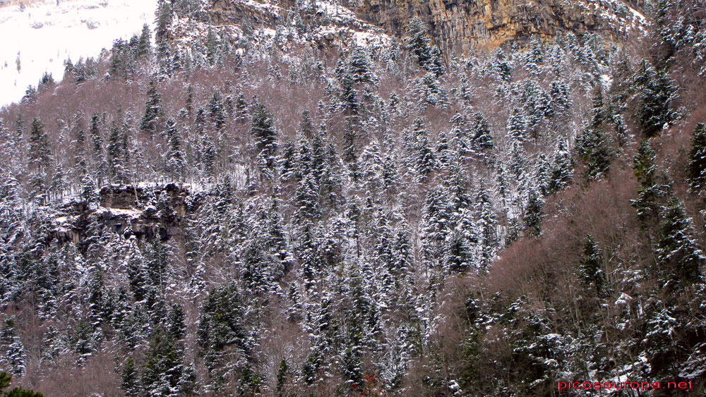 Foto: Paredes del Valle de Ordesa en invierno