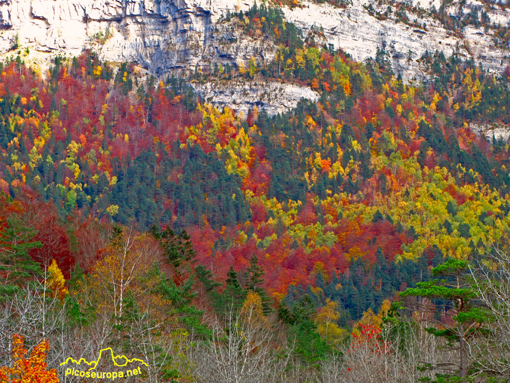 Foto: Otoño en la Pradera de Ordesa, Pirineos de Huesca, Aragon, Parque Nacional de Ordesa y Monte Perdido