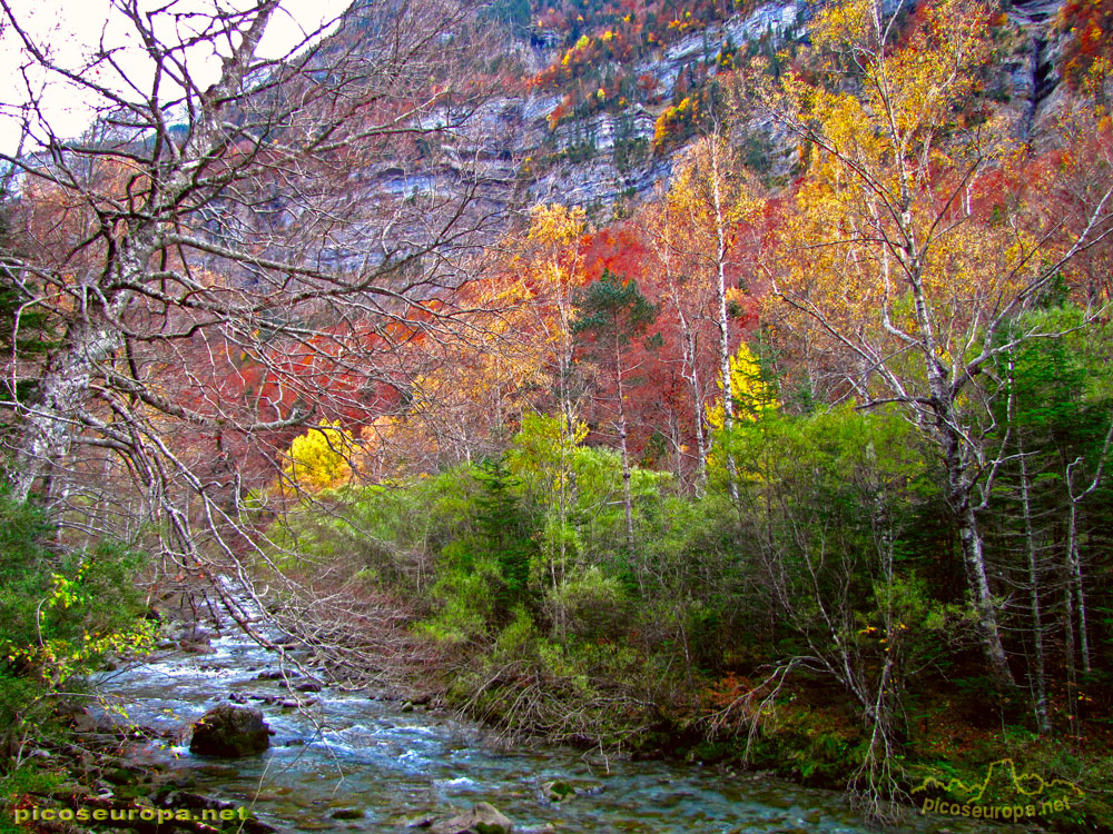 Foto: Pradera de Ordesa, Pirineos de Huesca, Aragon, Parque Nacional de Ordesa y Monte Perdido