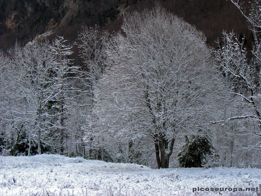 Foto: Invierno en la Pradera de Ordesa, Pirineos de Huesca, Aragon, Parque Nacional de Ordesa y Monte Perdido