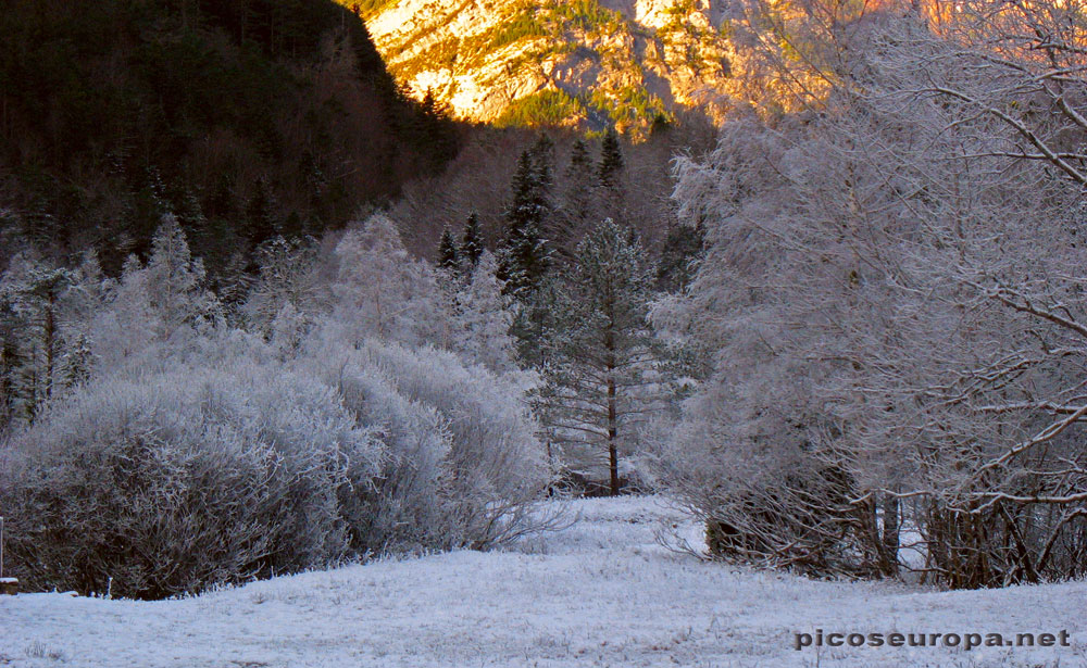 Foto: Invierno en la Pradera de Ordesa, Pirineos de Huesca, Aragon, Parque Nacional de Ordesa y Monte Perdido
