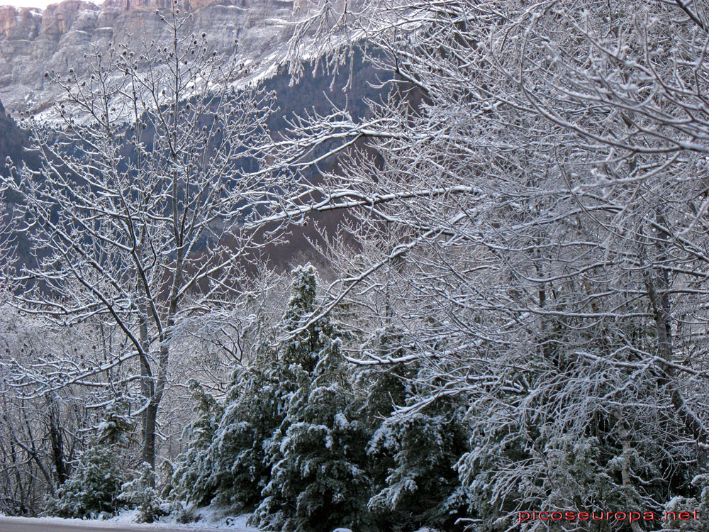 Foto: Invierno en la Pradera de Ordesa, Pirineos de Huesca, Aragon, Parque Nacional de Ordesa y Monte Perdido