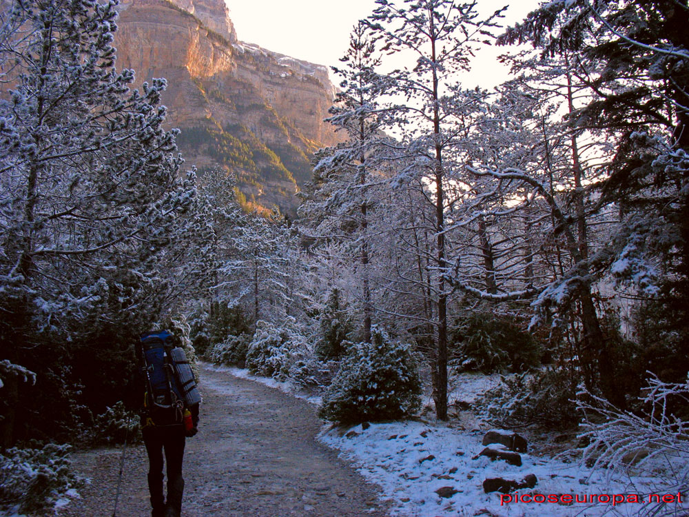 Foto: El camino del Valle de Ordesa, Parque Nacional de Ordesa y Monte Perdido, Pirineos de Huesca, Aragón