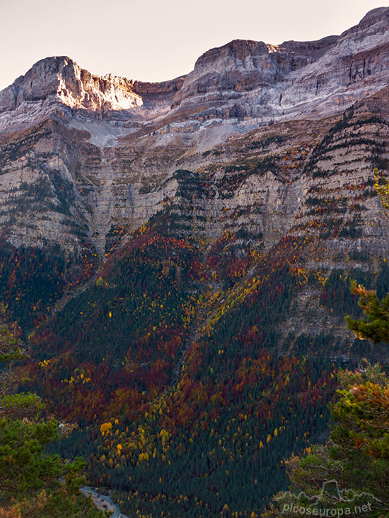 Foto: Los bosques trepan por las imposibles laderas de la Sierra de las Tucas de 1.500m de desnivel.