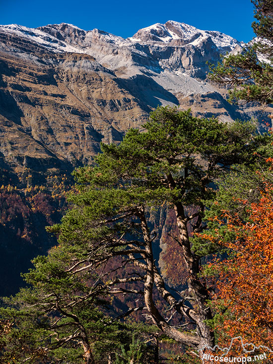 Foto: Valle de Pineta, Parque Nacional de Ordesa y Monte Perdido