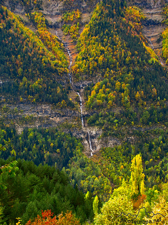 Foto: Los bosques trepan por las imposibles laderas de la Sierra de las Tucas de 1.500m de desnivel.
