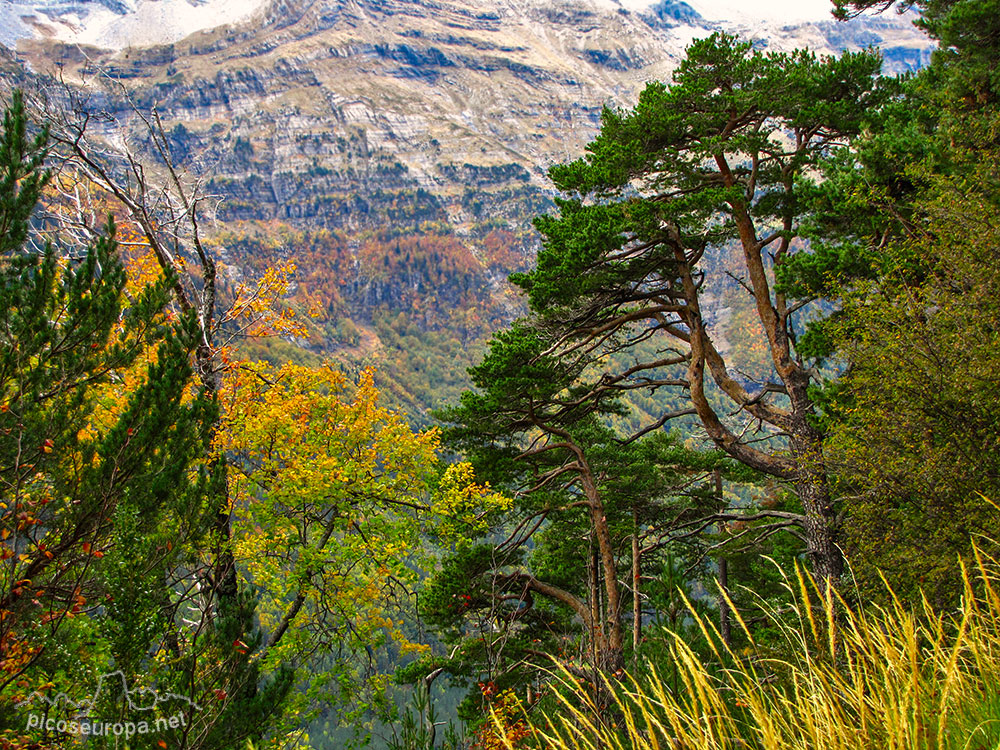 Foto: Valle de Pineta, Parque Nacional de Ordesa y Monte Perdido