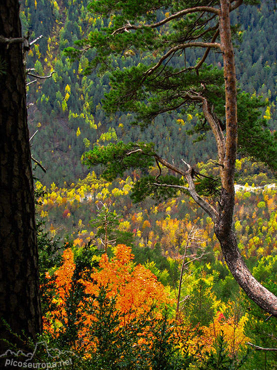 Foto: Valle de Pineta, Parque Nacional de Ordesa y Monte Perdido