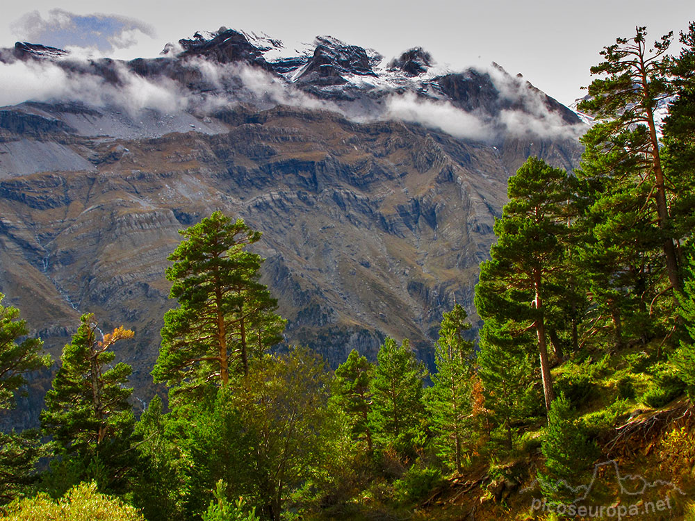Foto: Valle de Pineta, Parque Nacional de Ordesa y Monte Perdido