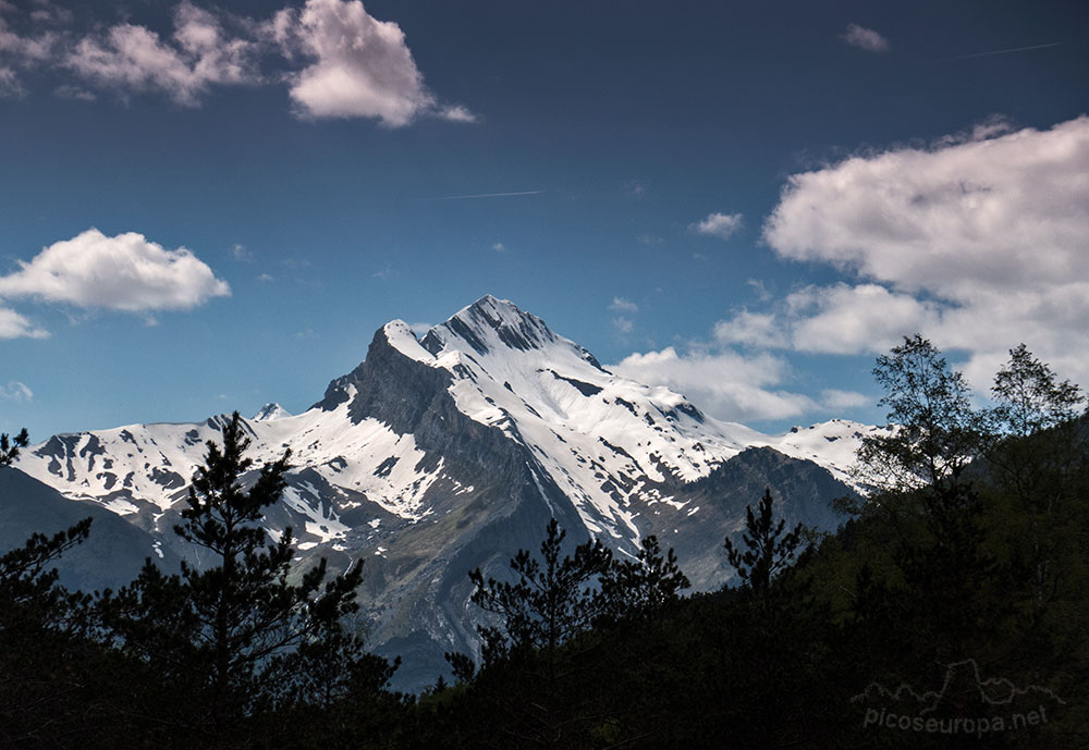 Foto: Pico Otal o Peña Arañonera desde la subida a la Senda de los Cazadores desde la Pradera de Ordesa