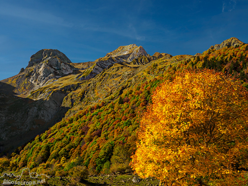 Foto: Artiga de Lin, Val d'Aran, Pirineos de Catalunya.