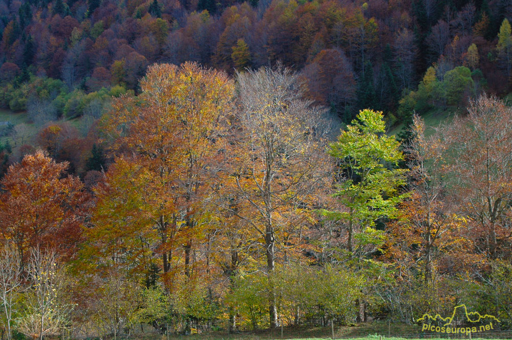 Foto: Artiga de Lin, Vall d'Aran, Pirineos de Lleida