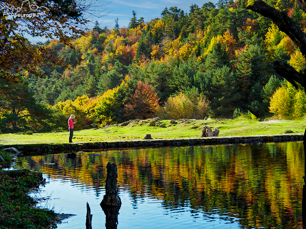 Foto: Otoño en Bassa d´Oles en la Val d'Aran, Pirineos, Catalunya.