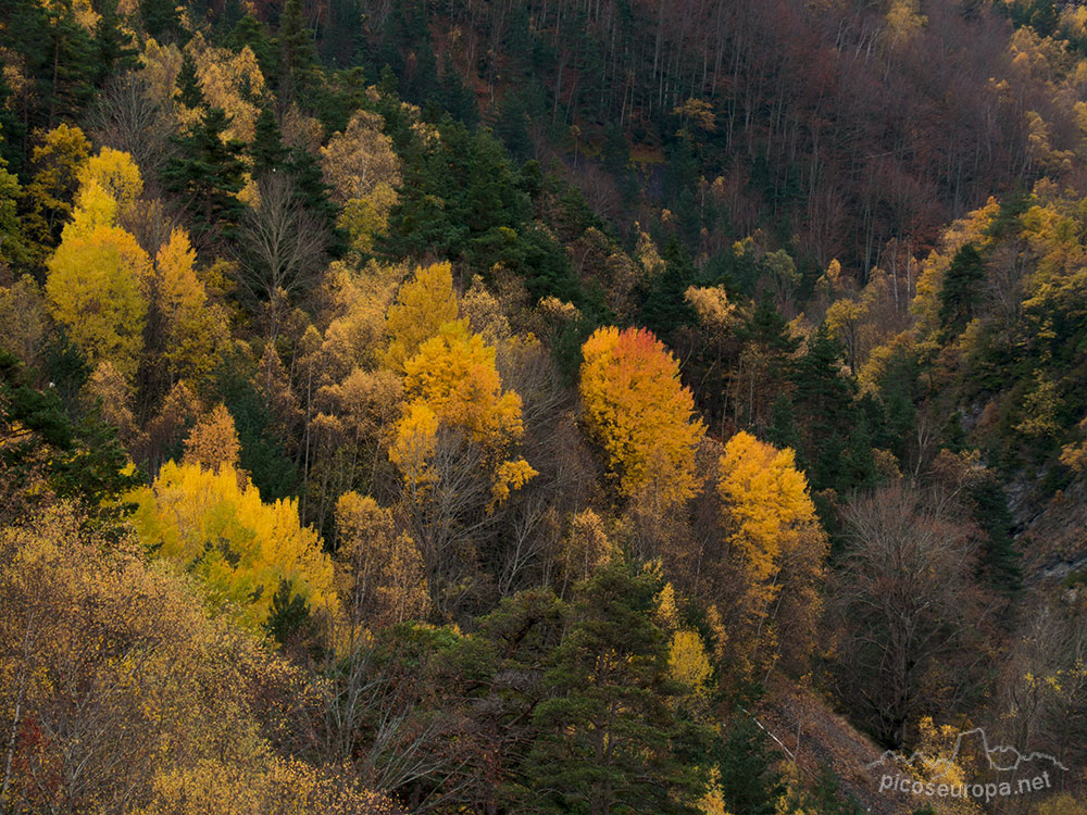 Foto: Embalse de Bubal, Valle de Tena, Pirineos de Huesca