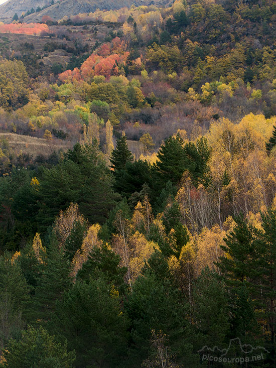 Foto: Embalse de Bubal, Valle de Tena, Pirineos de Huesca