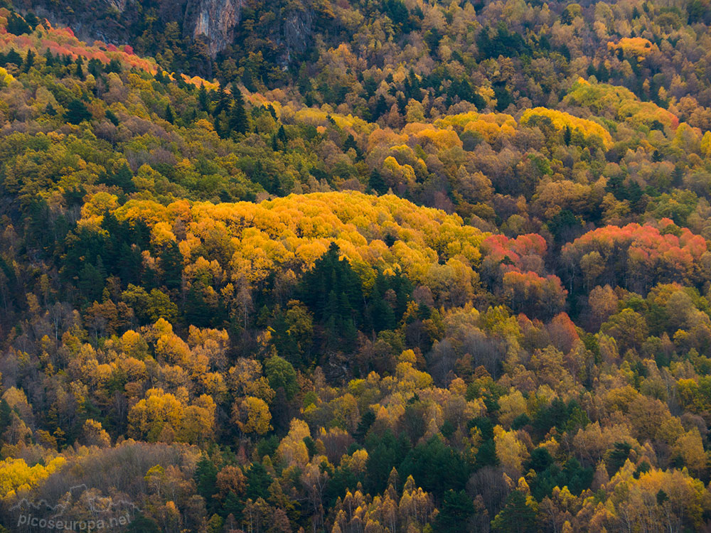 Foto: Otoño en el Valle de Benasque, Pirineos de Huesca, Aragon