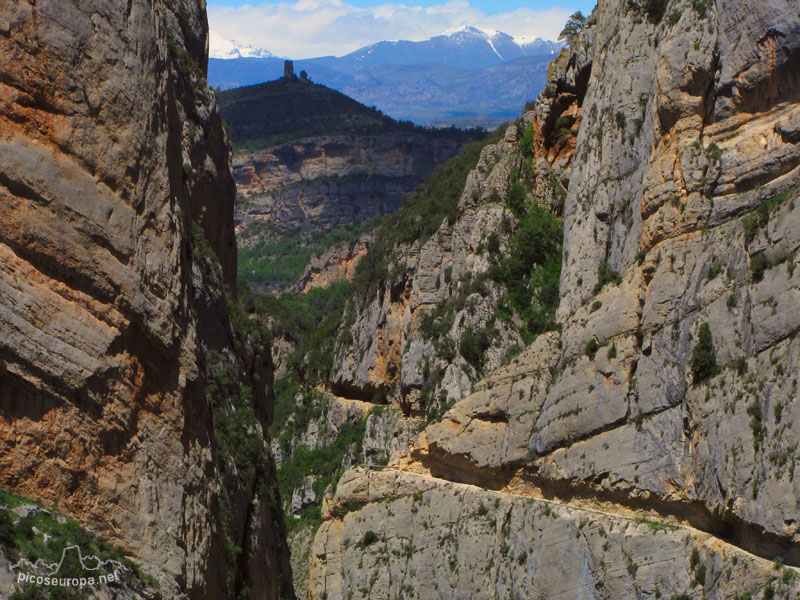 Congost de Mont-Rebei, Serra del Montsec, Pre Pirineos