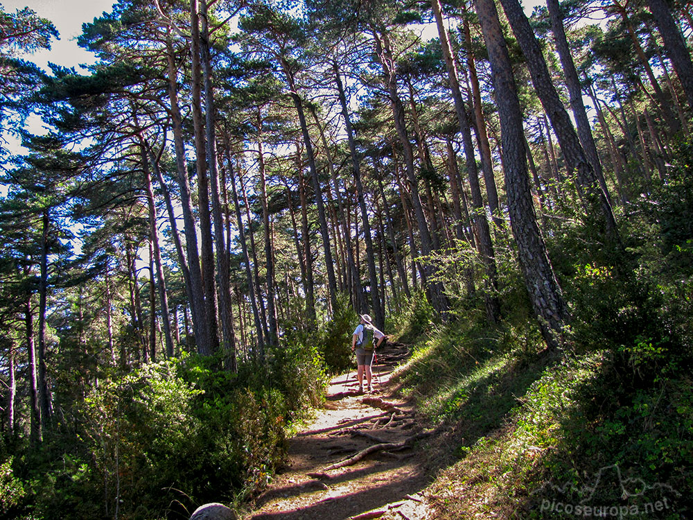 Sendero de subida a Peña Oroel, Pre Pirineos de Huesca, Aragón