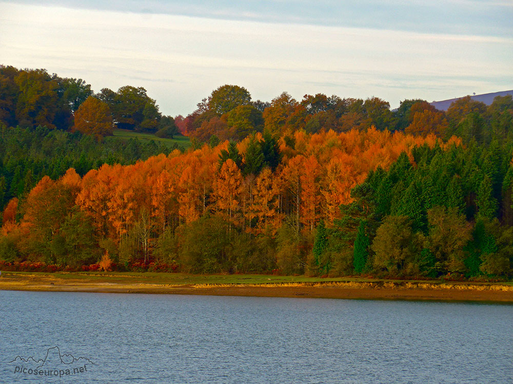 Bosques en el embalse de Urrunaga, Alava, Pais Vasco