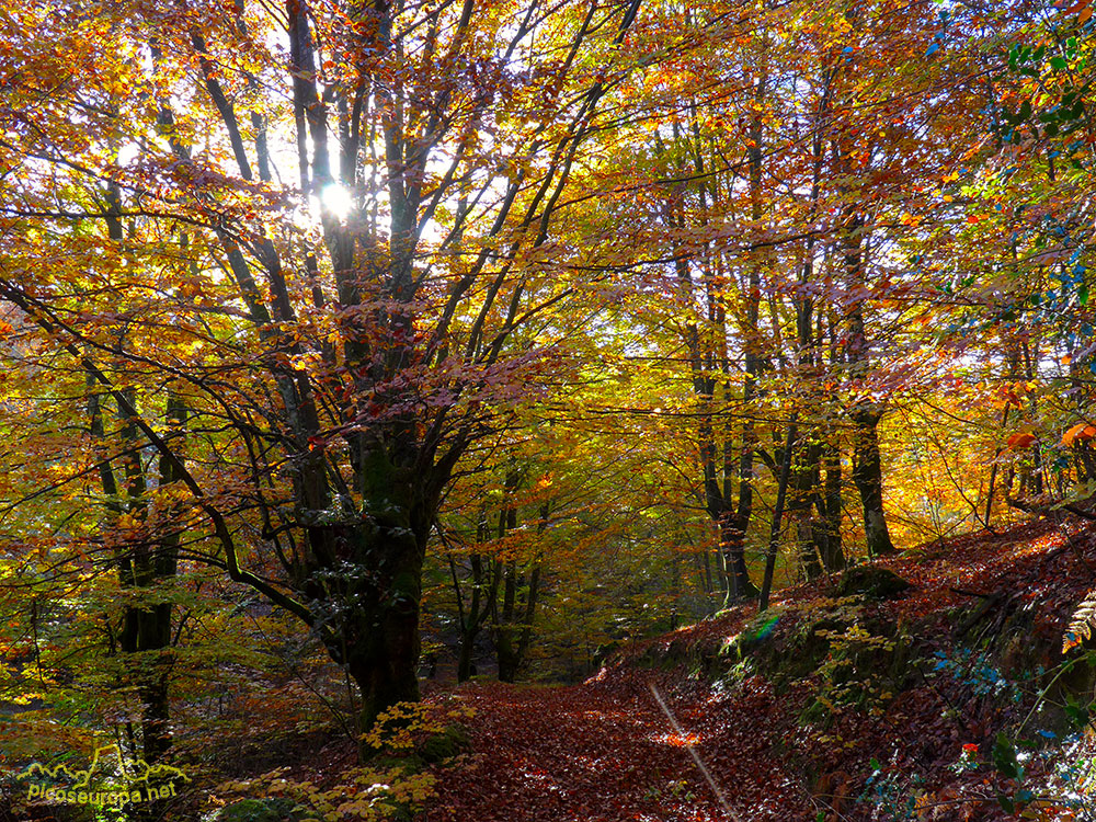 Foto: Otoño en el embalse de Urrunaga, Alava, Pais Vasco