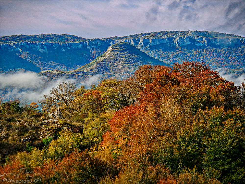 Foto: Otoño en los bosques que rodean el Santurario de la Virgen del Oro, Murguia, Alava, Pais Vasco