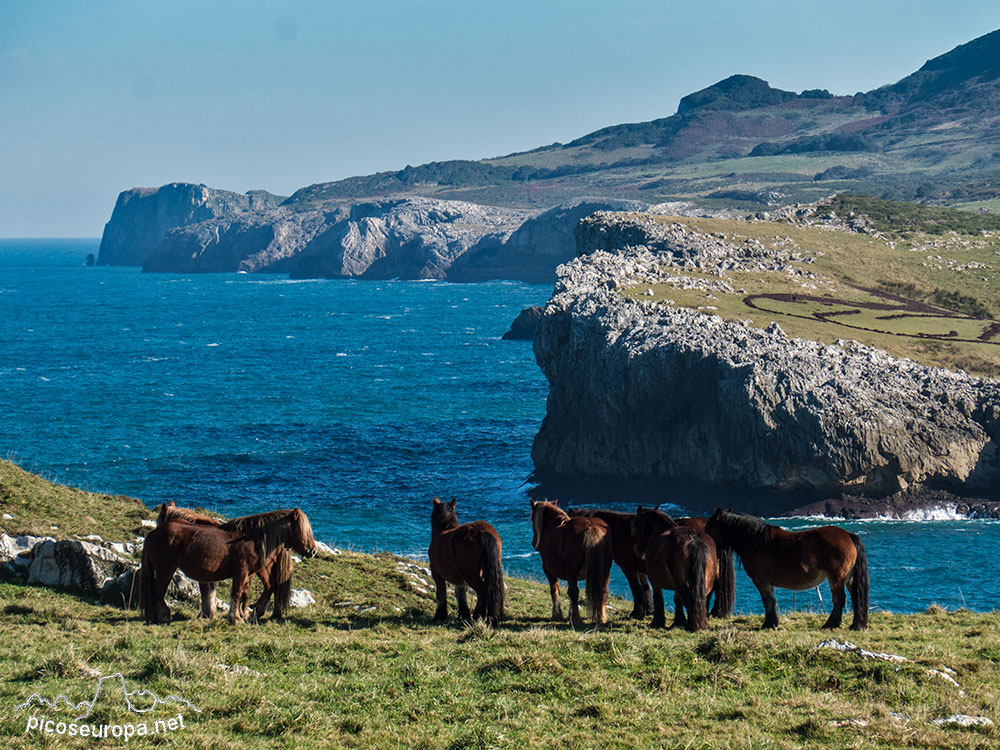 Foto: Playa de Pendueles, Asturias