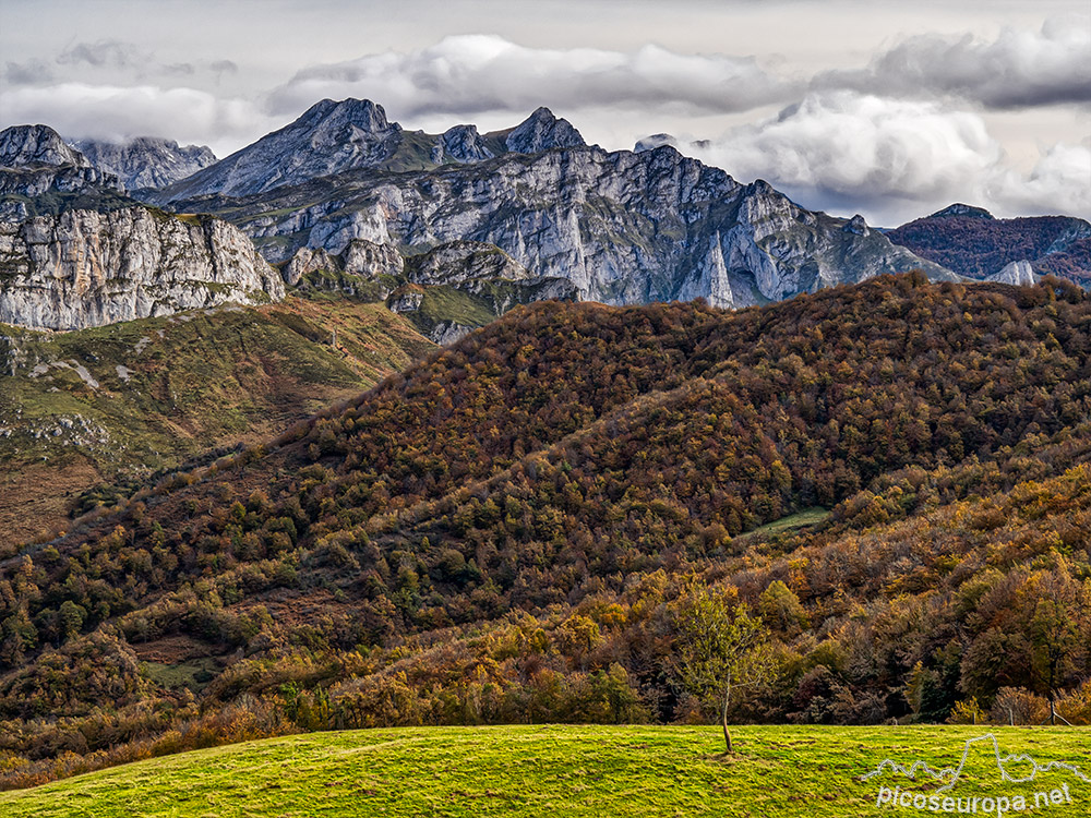 Foto: Otoño en la zona del Mirador de Las Bedules, Parque Natural de Ponga, Asturias