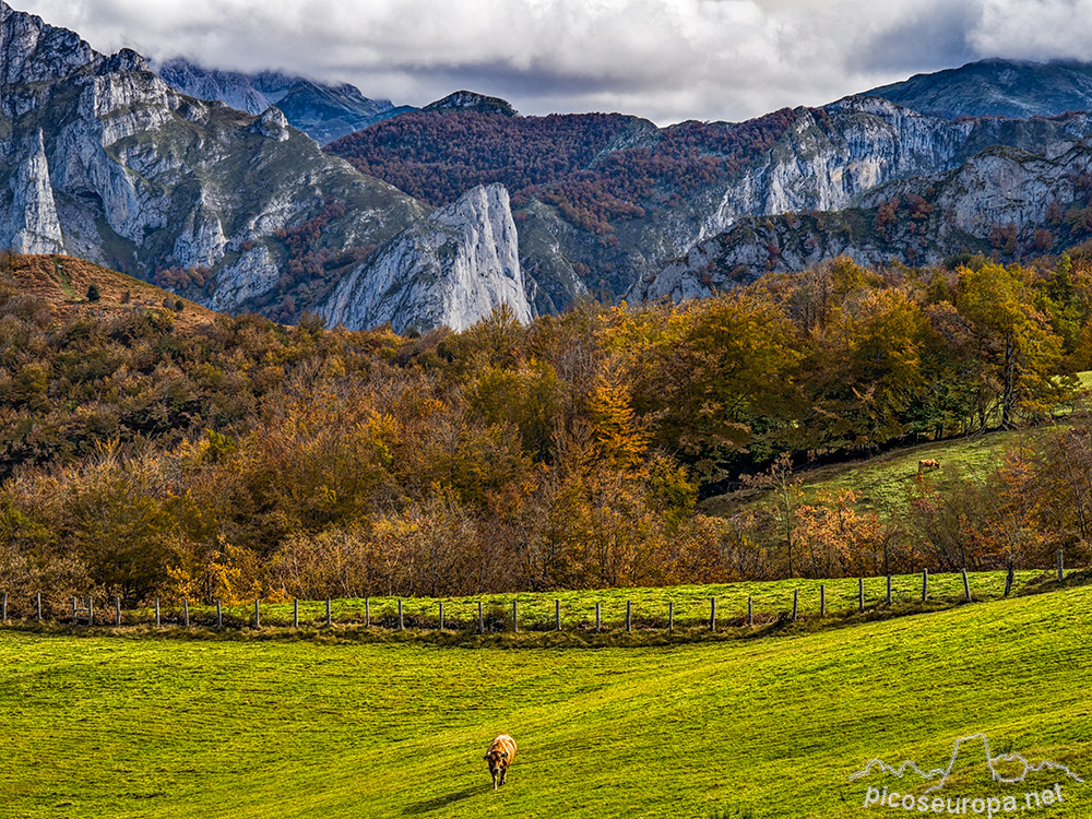 Foto: Otoño en la zona del Mirador de Las Bedules, Parque Natural de Ponga, Asturias