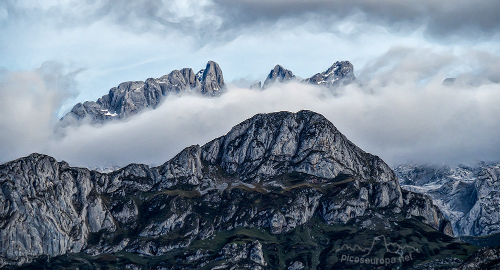 Foto: Picos de Europa desde el bosque de Peloño en el Parque Natural de Ponga, Asturias.