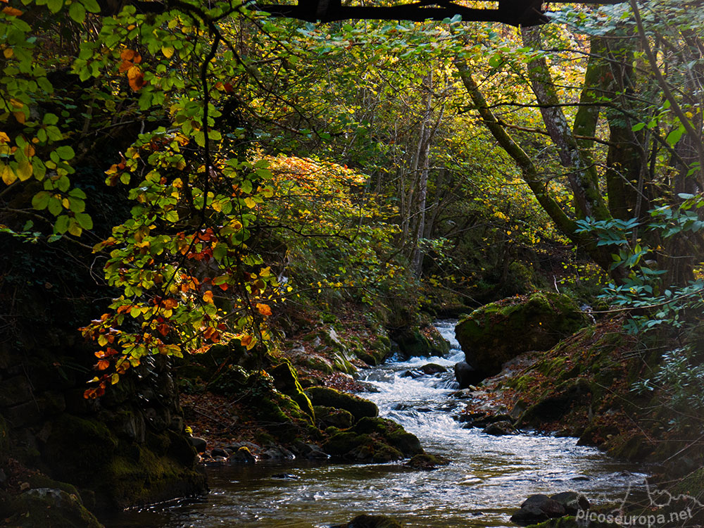 Río Nalon, Parque Natural de Redes, Asturias