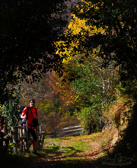 Camino de la majada La Ablanosa, Parque Natural de Redes, Asturias