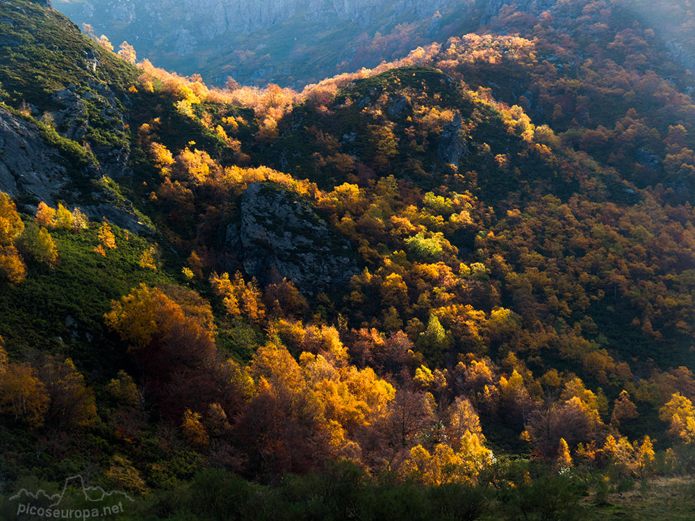 Laderas al Sur-Este de la Vega Pociello. Parque Natural de Redes, Asturias