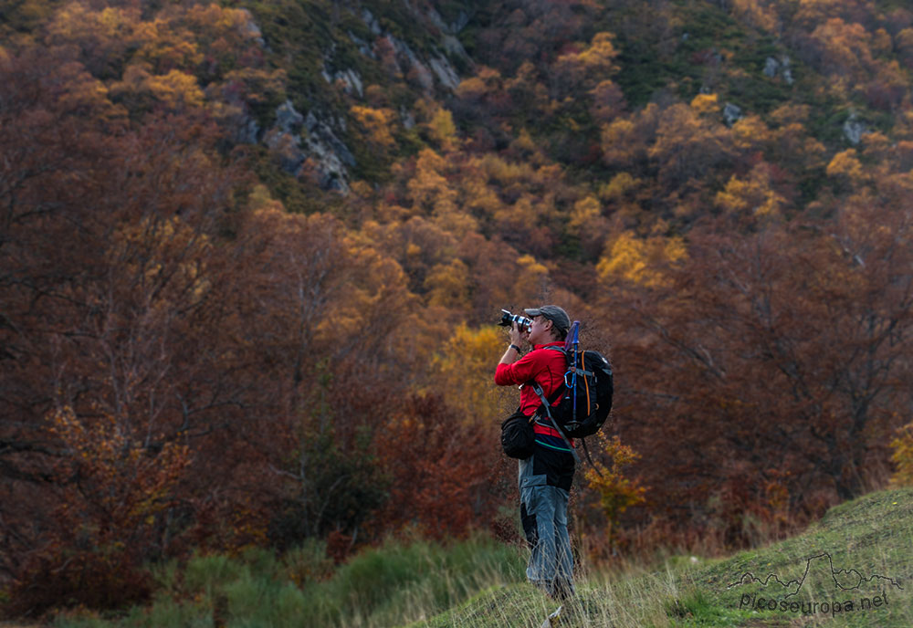 En la Vega Pociello. Parque Natural de Redes, Asturias