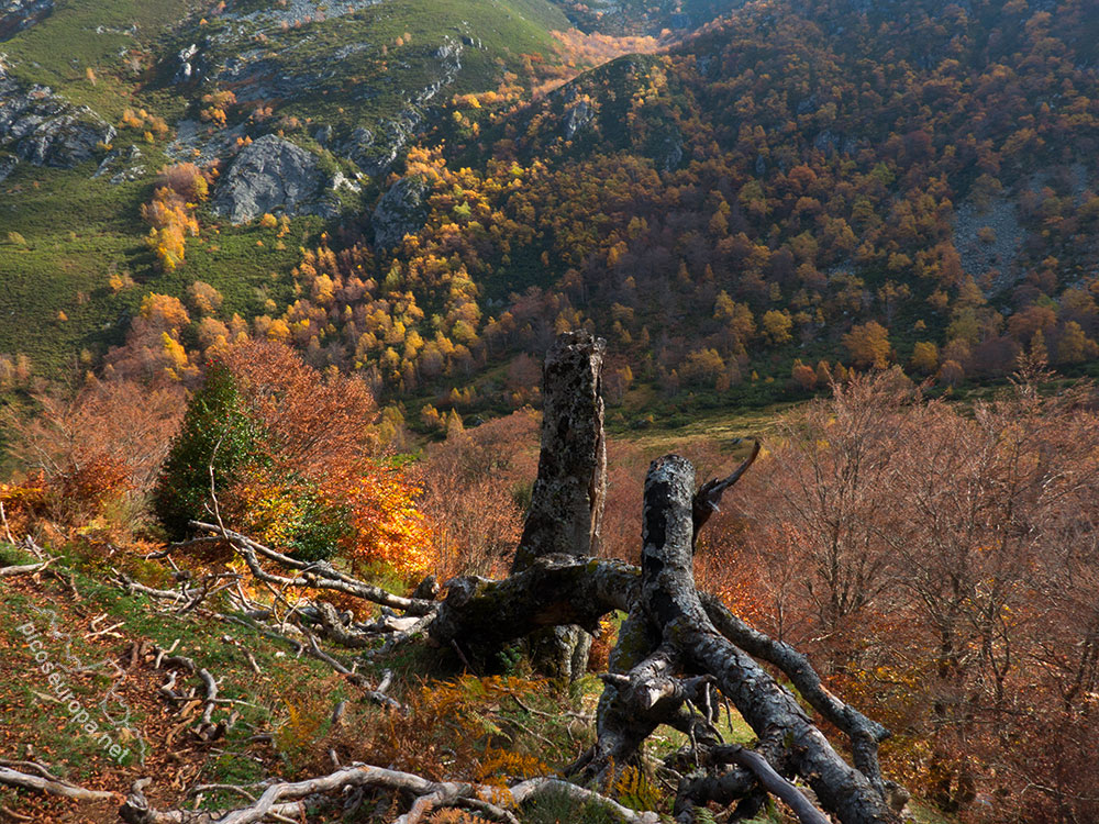 Desde el lado Sur-Oeste de la Vega Pociello. Parque Natural de Redes, Asturias